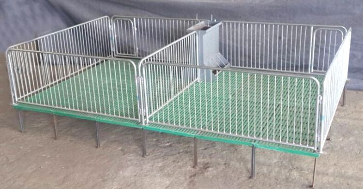BMC pig floor 1(001).jpg